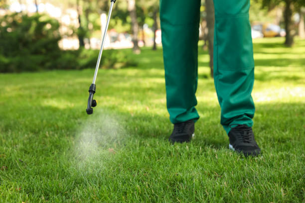 Best Mosquito Control Services  in Fort Washakie, WY