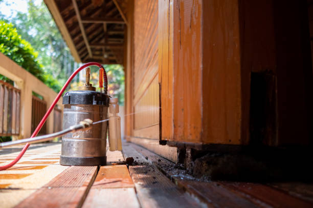Best Exterminator Services  in Fort Washakie, WY