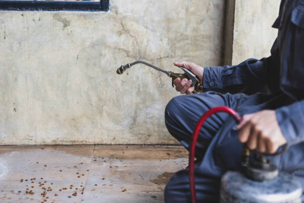 Best Local Pest Control Services  in Fort Washakie, WY
